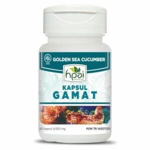 Gamat Kapsul HNI HPAI