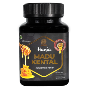 Made Kental HNI Bali